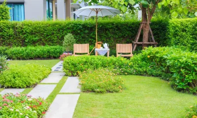 nice garden