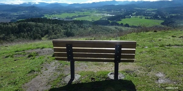 bench on hill