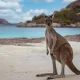 Australian real estate for foreign buyers and expats