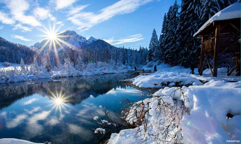 Winter