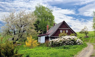 home garden