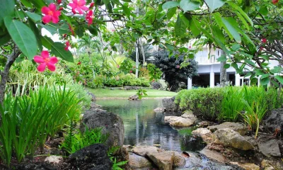 landscaped garden