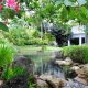 landscaped garden