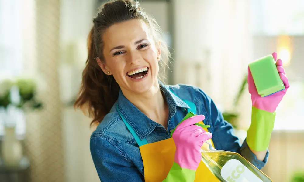 professional spring clean