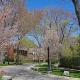 landscaping and trees