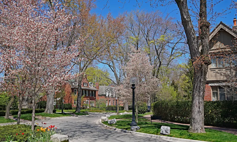 landscaping and trees