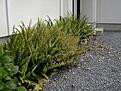 2008 11 12 004