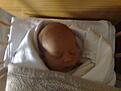 1 day old